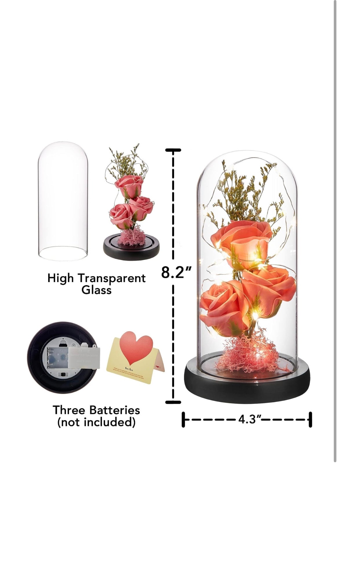 Eternal Rose Flower Lamp in Glass Dome, Gift Box Included